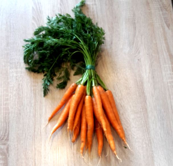 Was-hilft-gegen-Durchfall-Karottensuppe